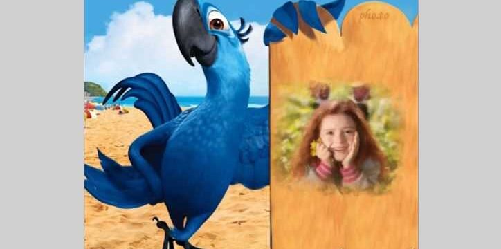 Mavi Papağan Ve Resim