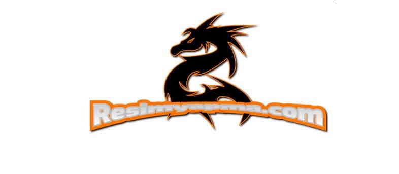 DRAGON Resmi