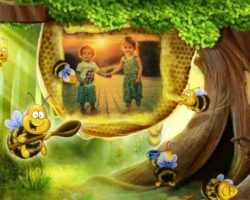 Arı İle Fotoğraf Çerçevesi